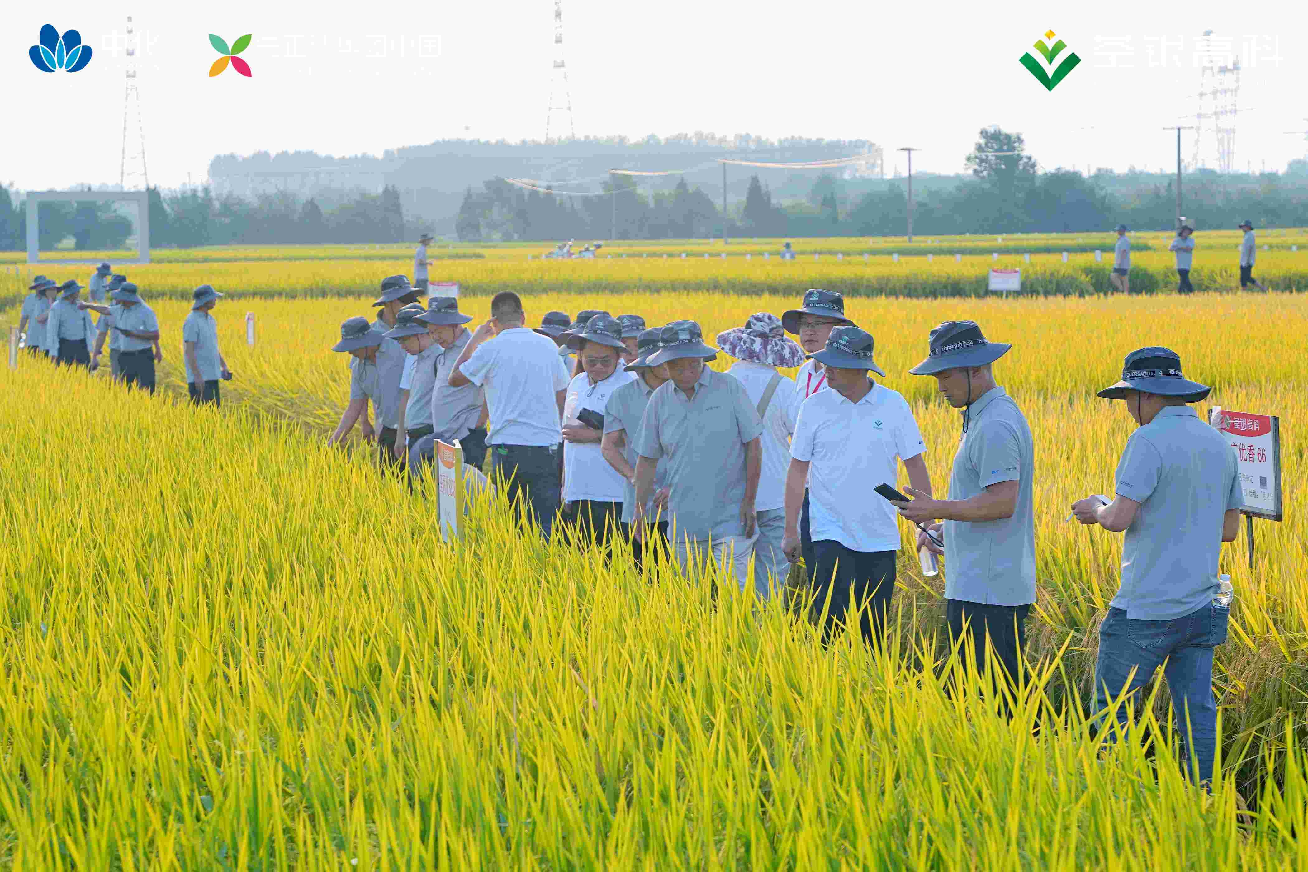 TDJ02490(1).jpg TDJ02490(1).jpg