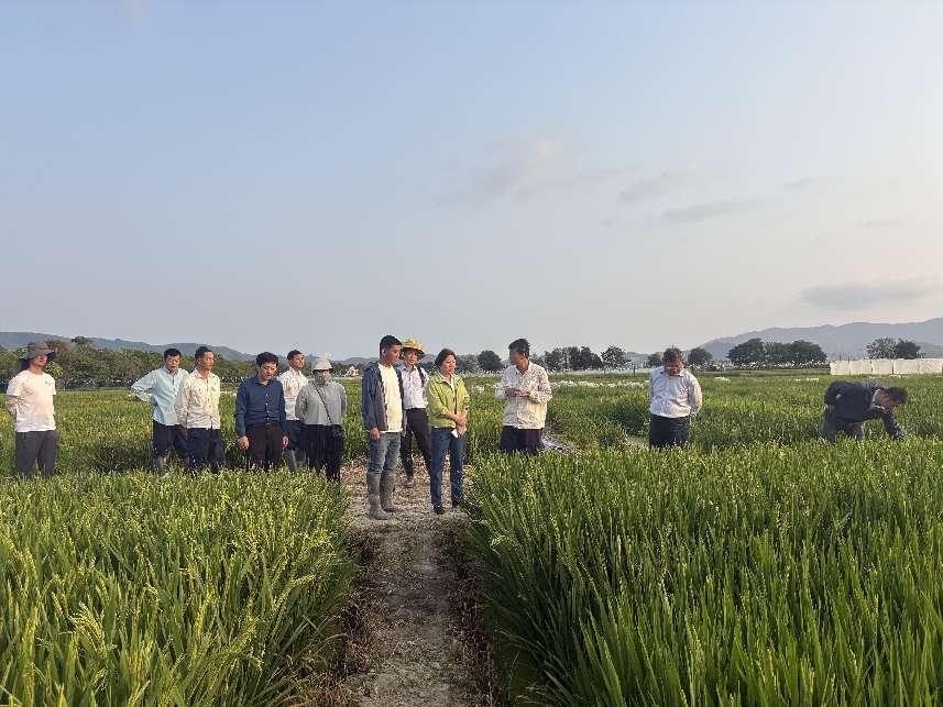 圖片13.png 圖片13.png